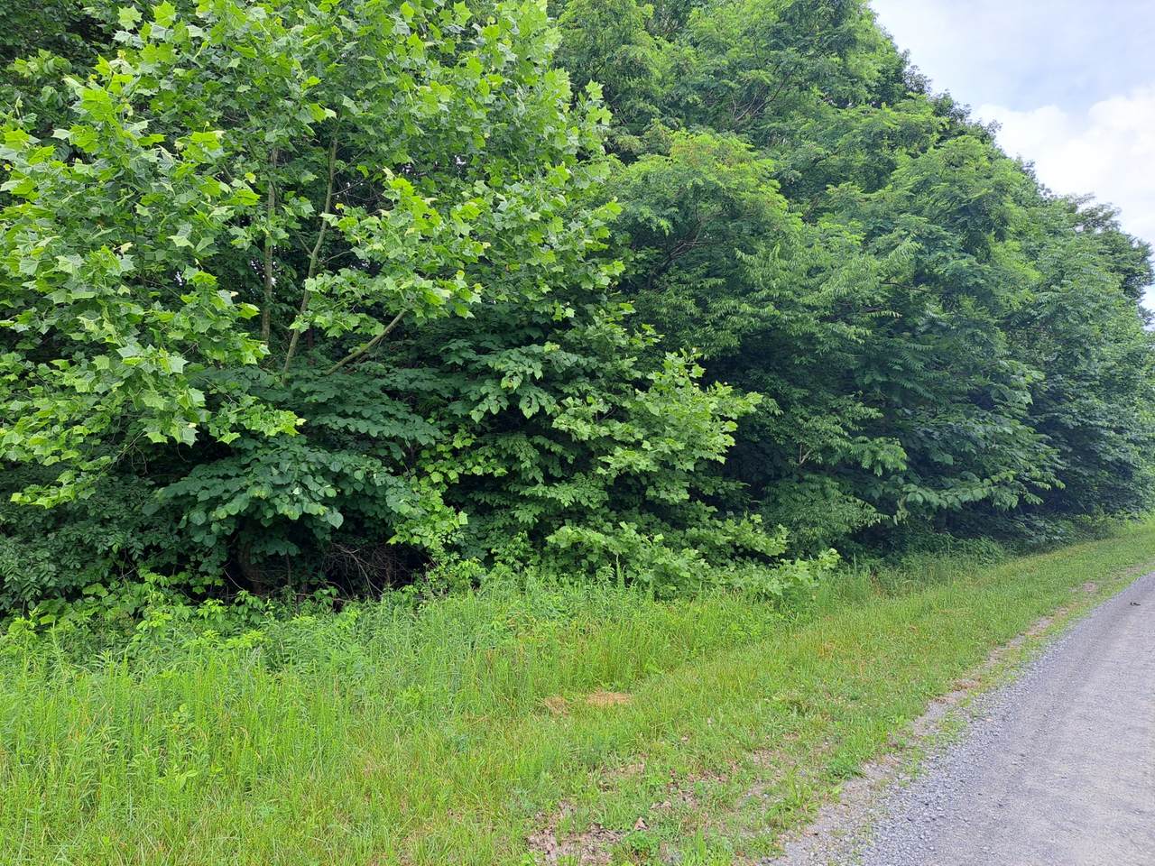 0 Ward Ln - Photo 1