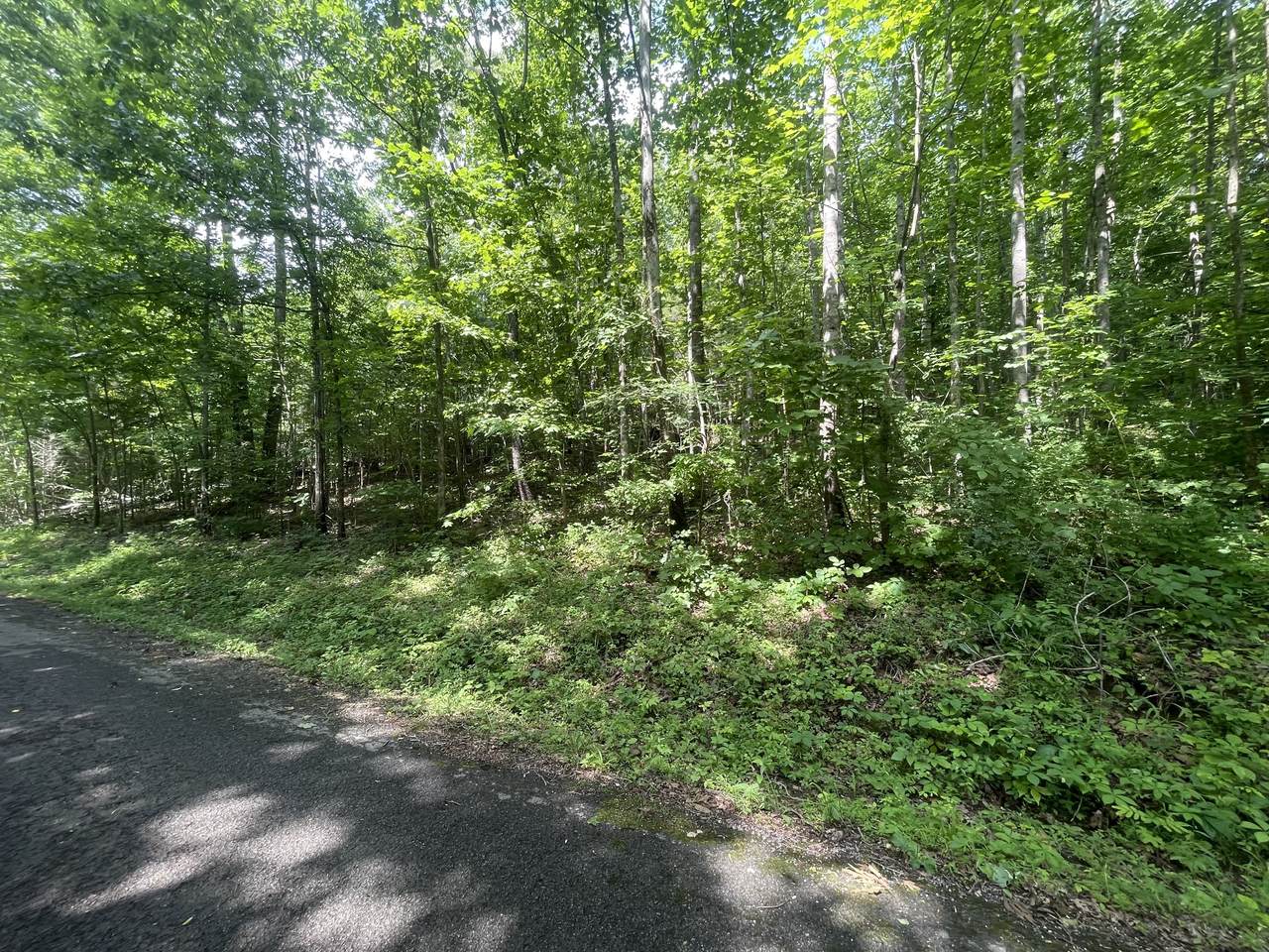 0 Higgs Rd - Photo 1