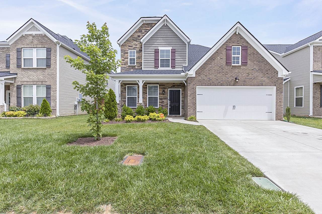 3316 Calendula Way - Photo 1