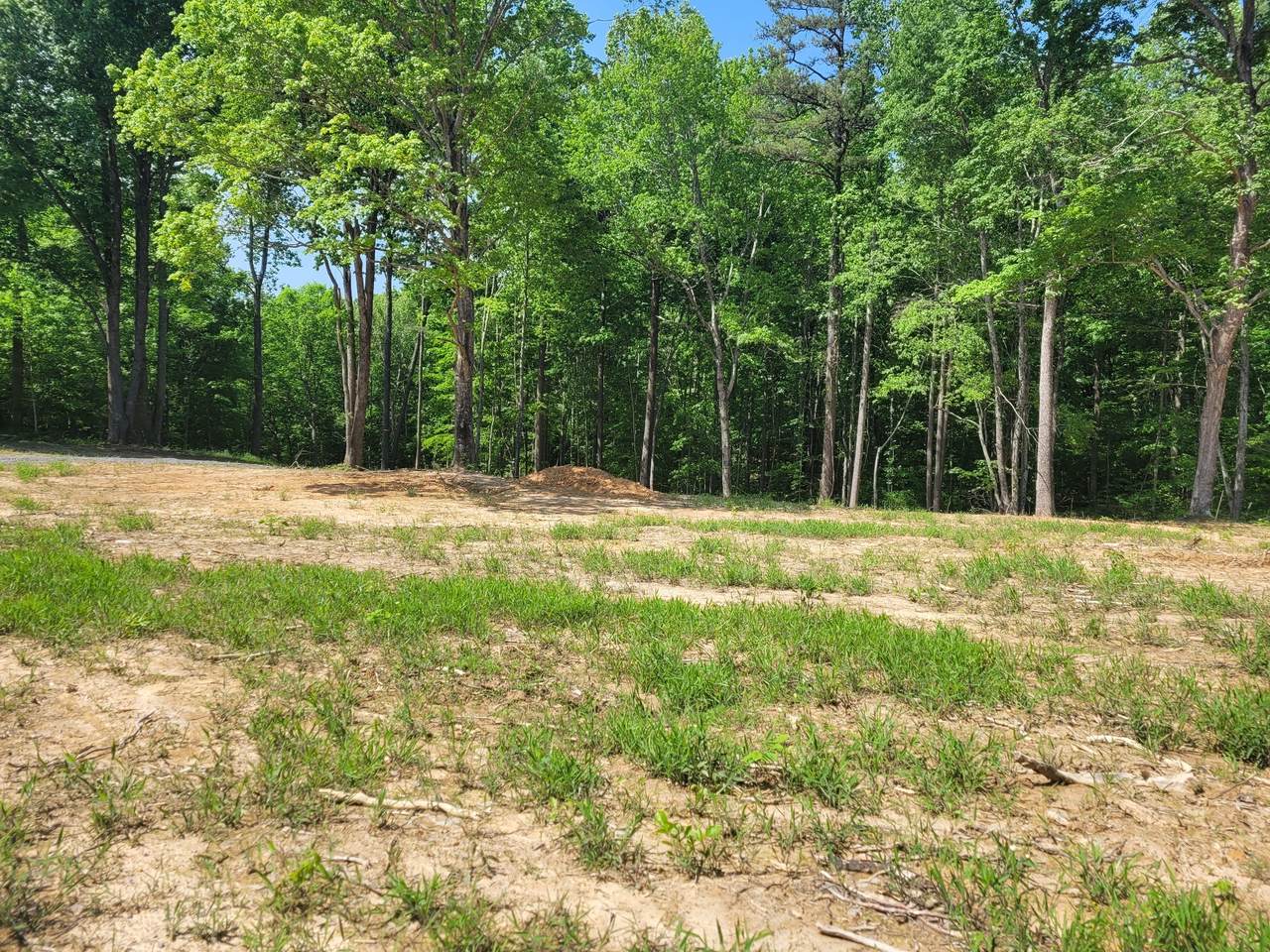 886 King Ridge Rd - Photo 1
