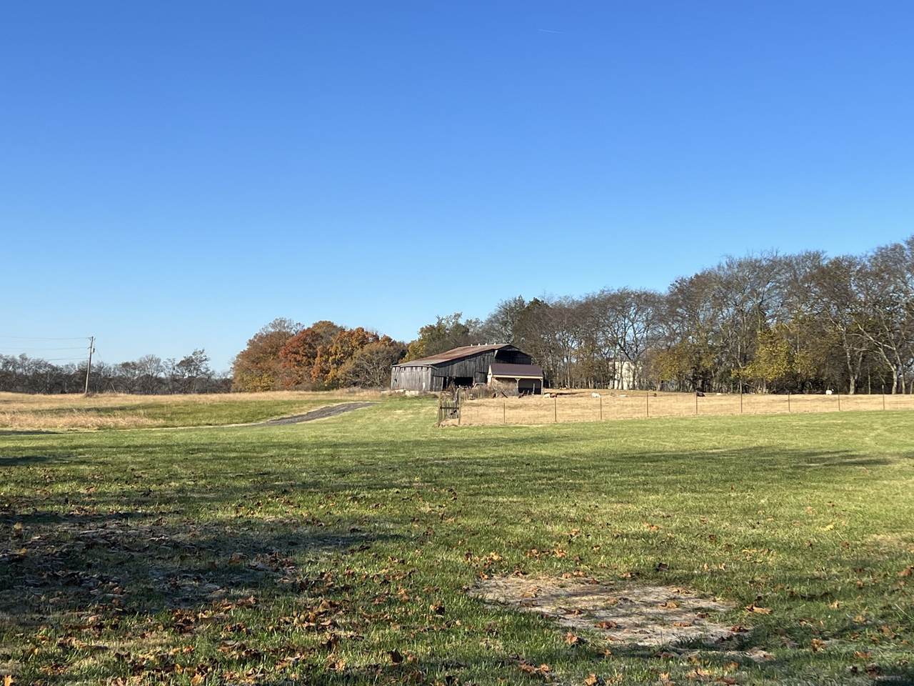 869 Dobbins Pike - Photo 1
