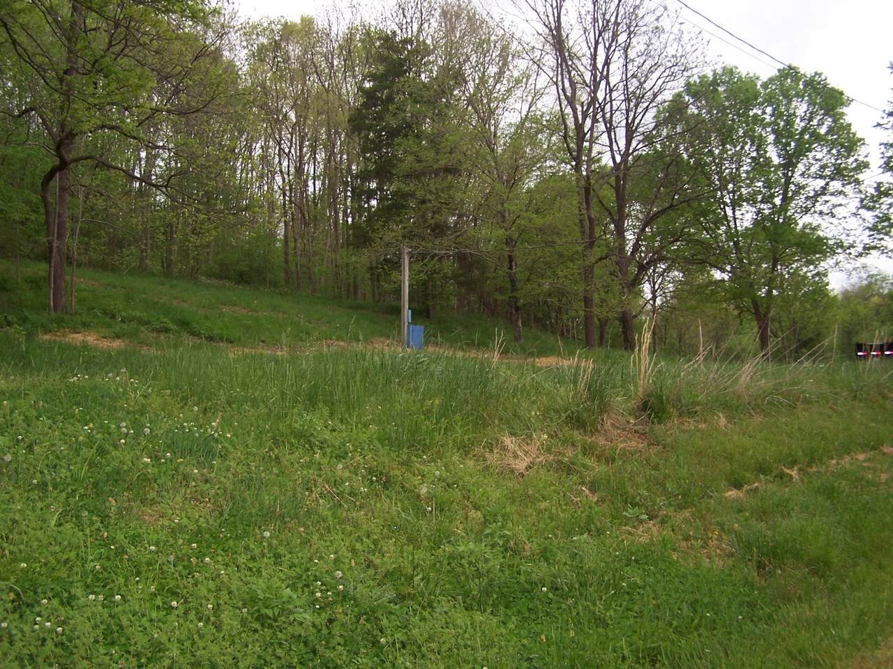 0 Ben Johnson Rd - Photo 1