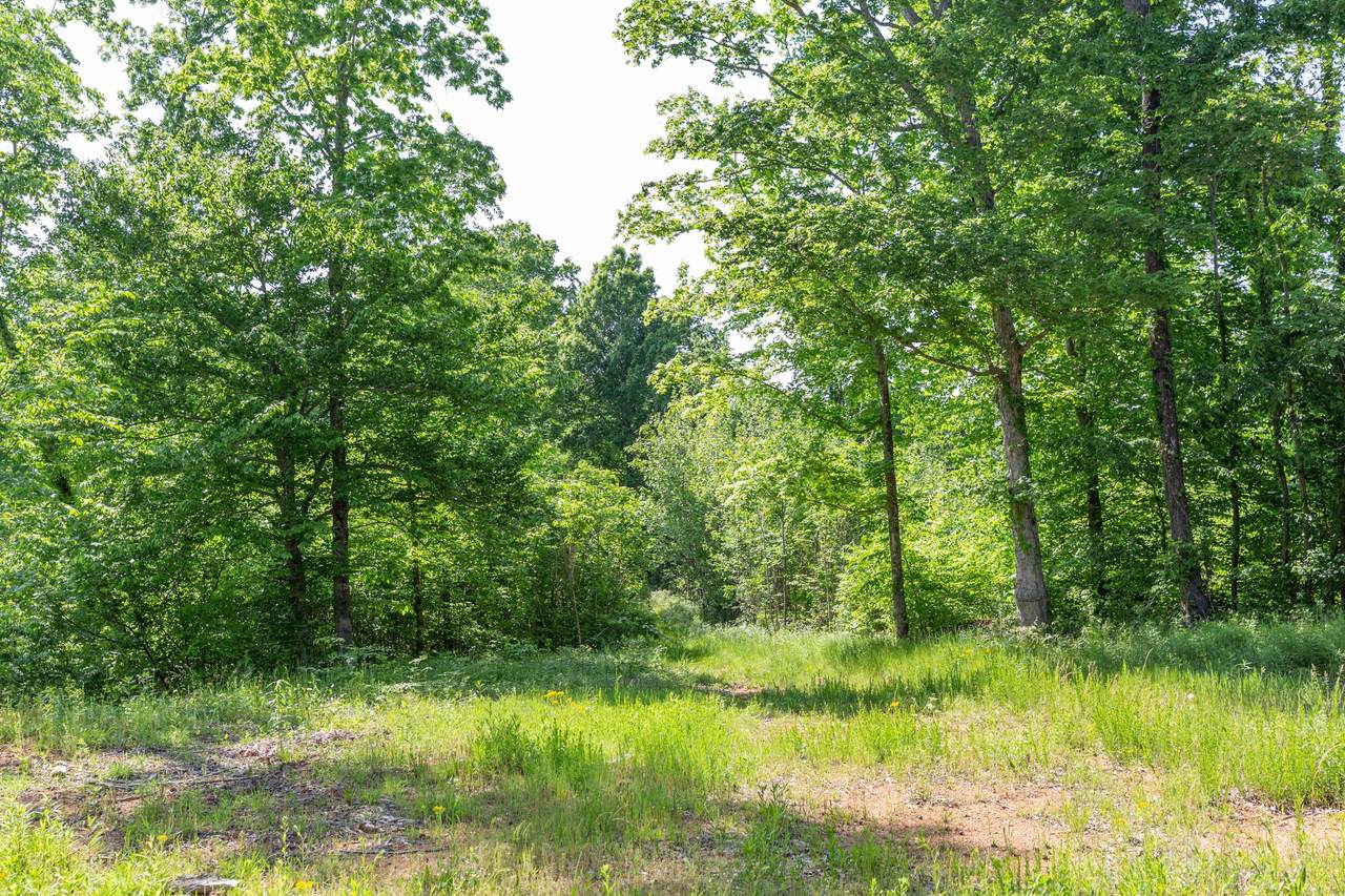 0 Cane Creek Rd - Photo 1