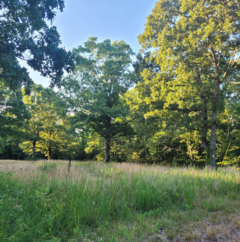 248 Minnow Rd - Photo 1