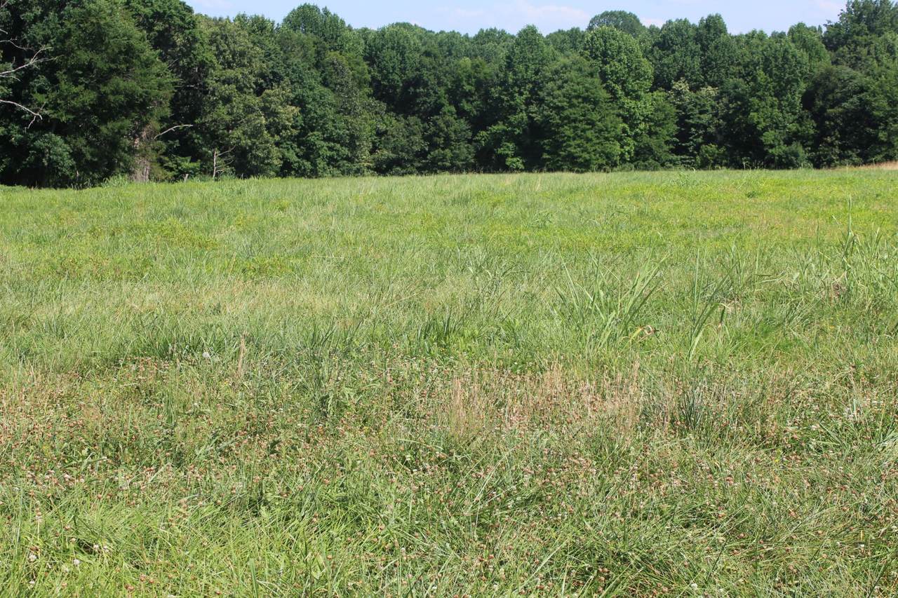 0 Chaffin Rd - Photo 1
