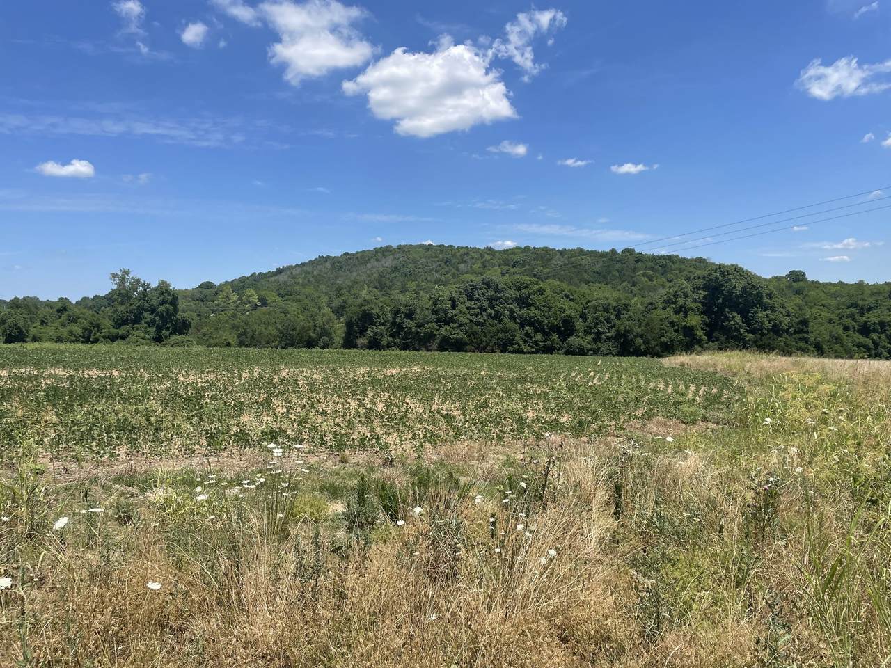 0 Highway 25 - Photo 1