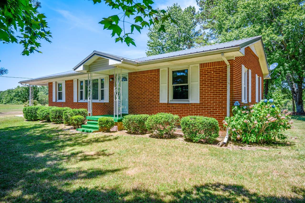 113 Revilo Rd - Photo 1