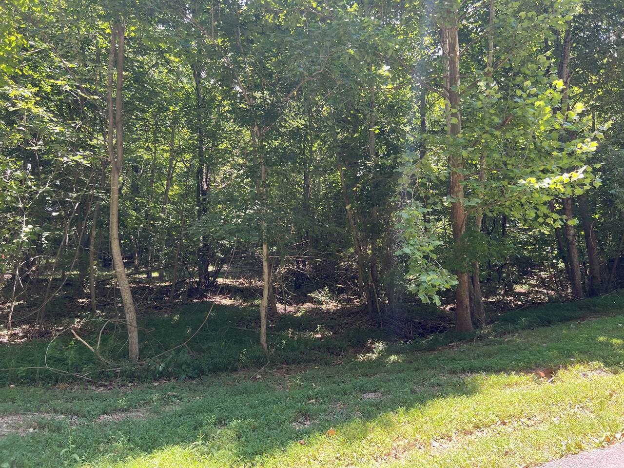 0 Shane Lee Cir - Photo 1