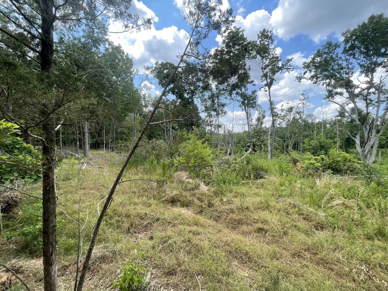 0 Walnut Grove Rd - Photo 1