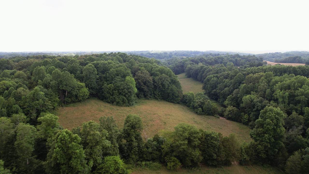 2331 Pleasant Grove Rd - Photo 1