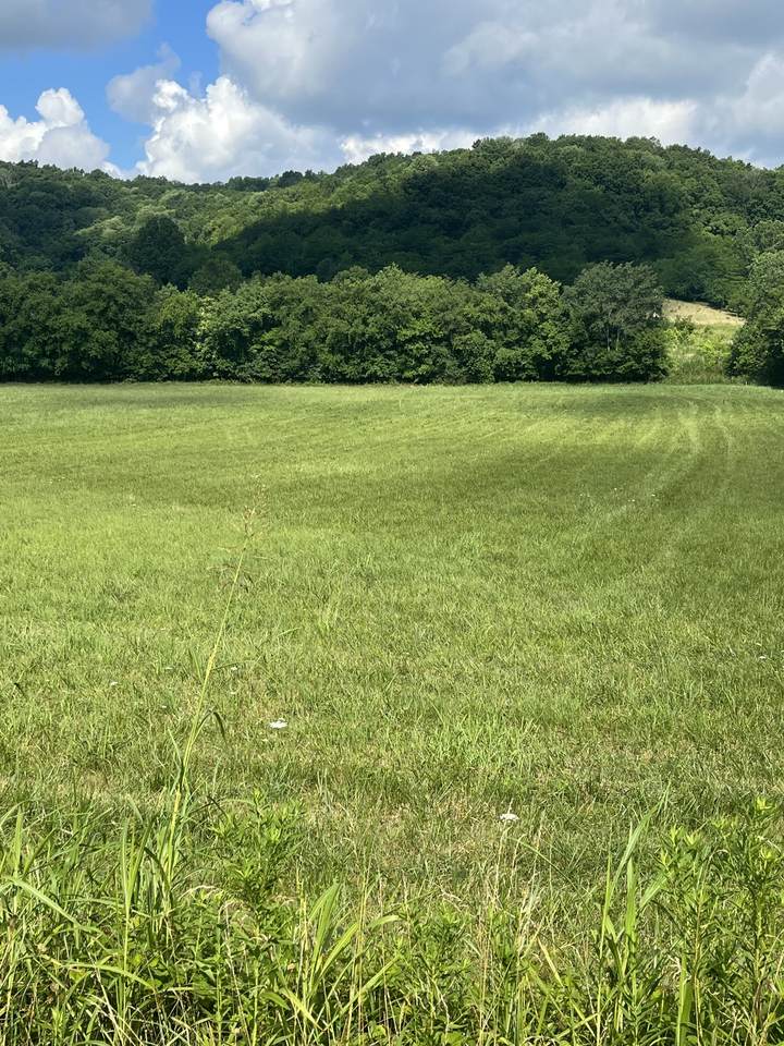 5879 Hurricane Creek Rd - Photo 1