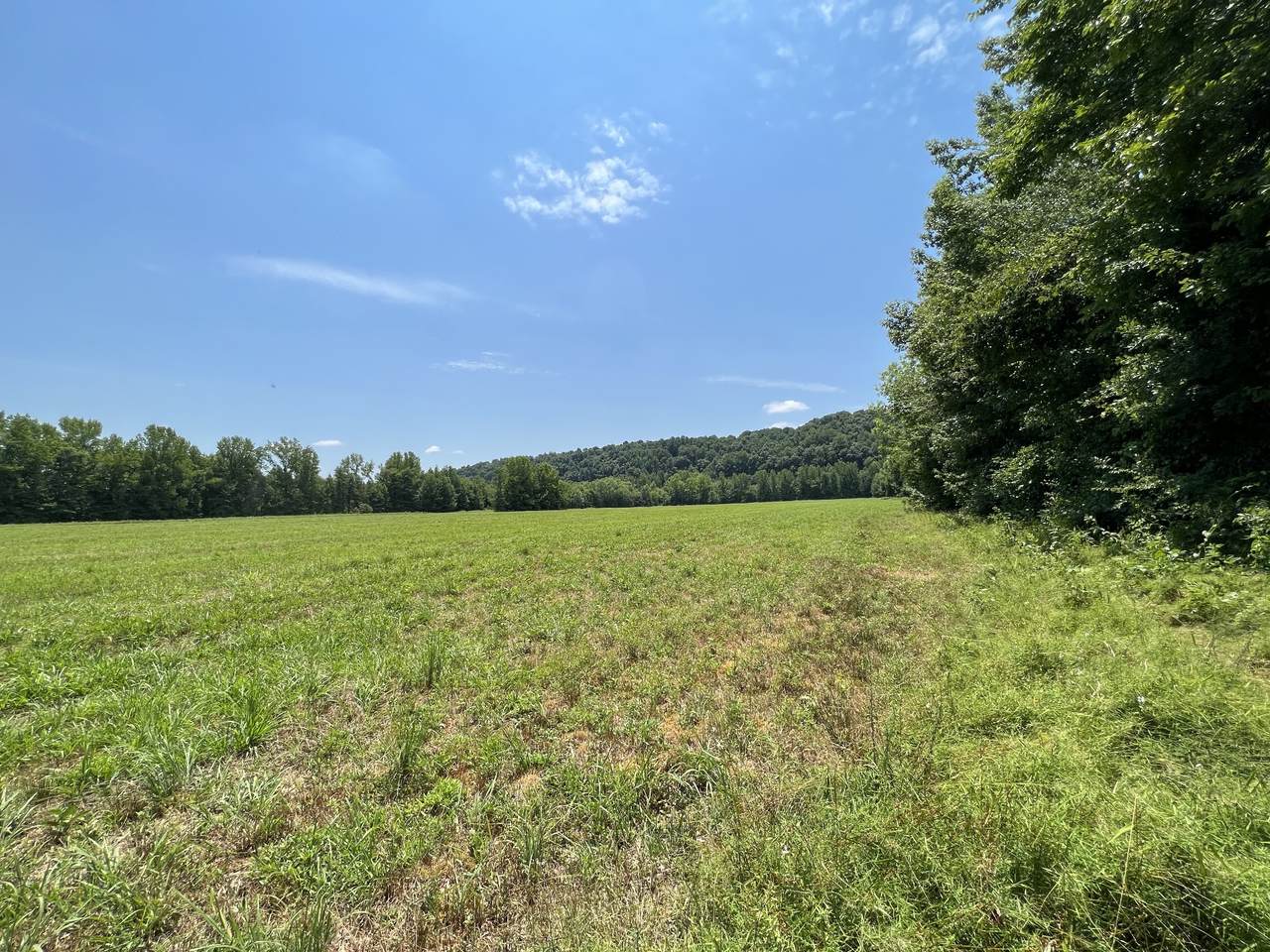 631 Briar Pond Road - Photo 1