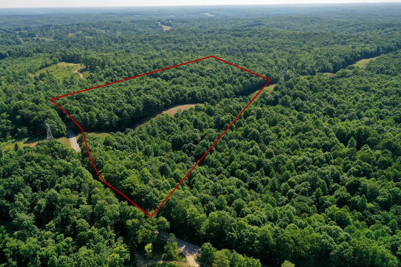 0 Primm Springs Rd - Photo 1