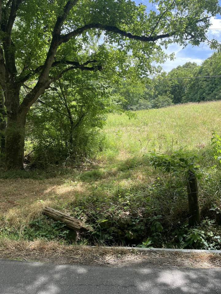 0 Mosley Ferry Rd. - Photo 1