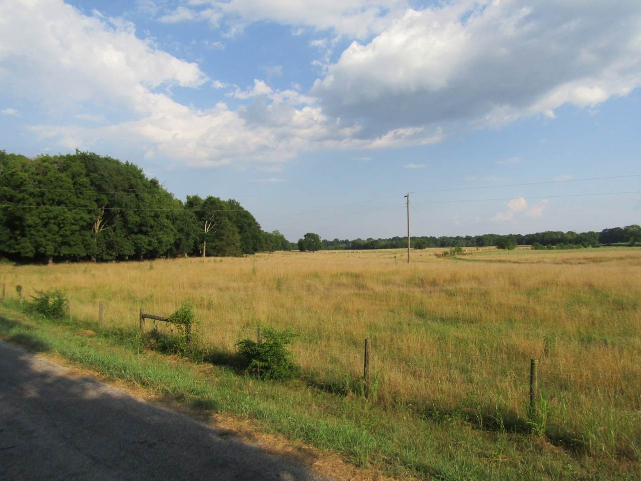 0 Finley Rd - Photo 1