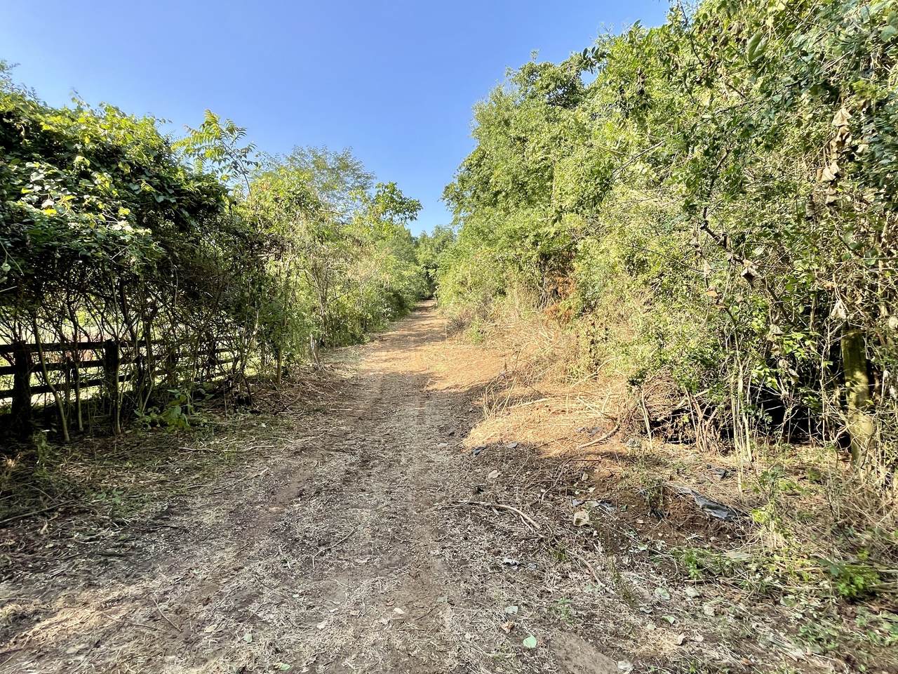 0 Dry Creek Rd - Photo 1