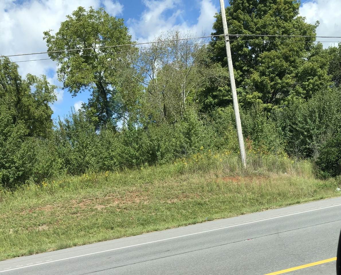0 Manchester Hwy - Photo 1