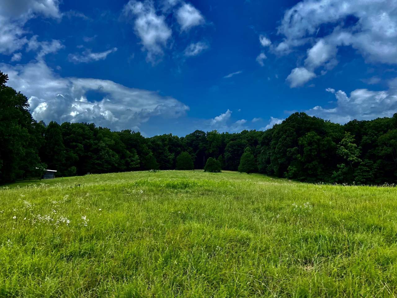 0 Mt View Rd - Photo 1