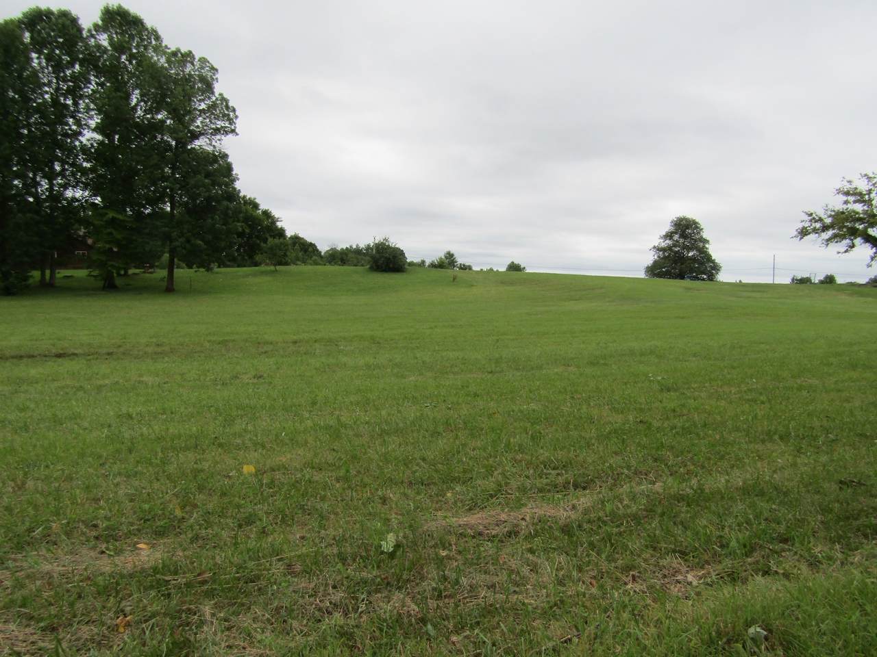 0 Gunnels (Lakeview Est) Rd - Photo 1