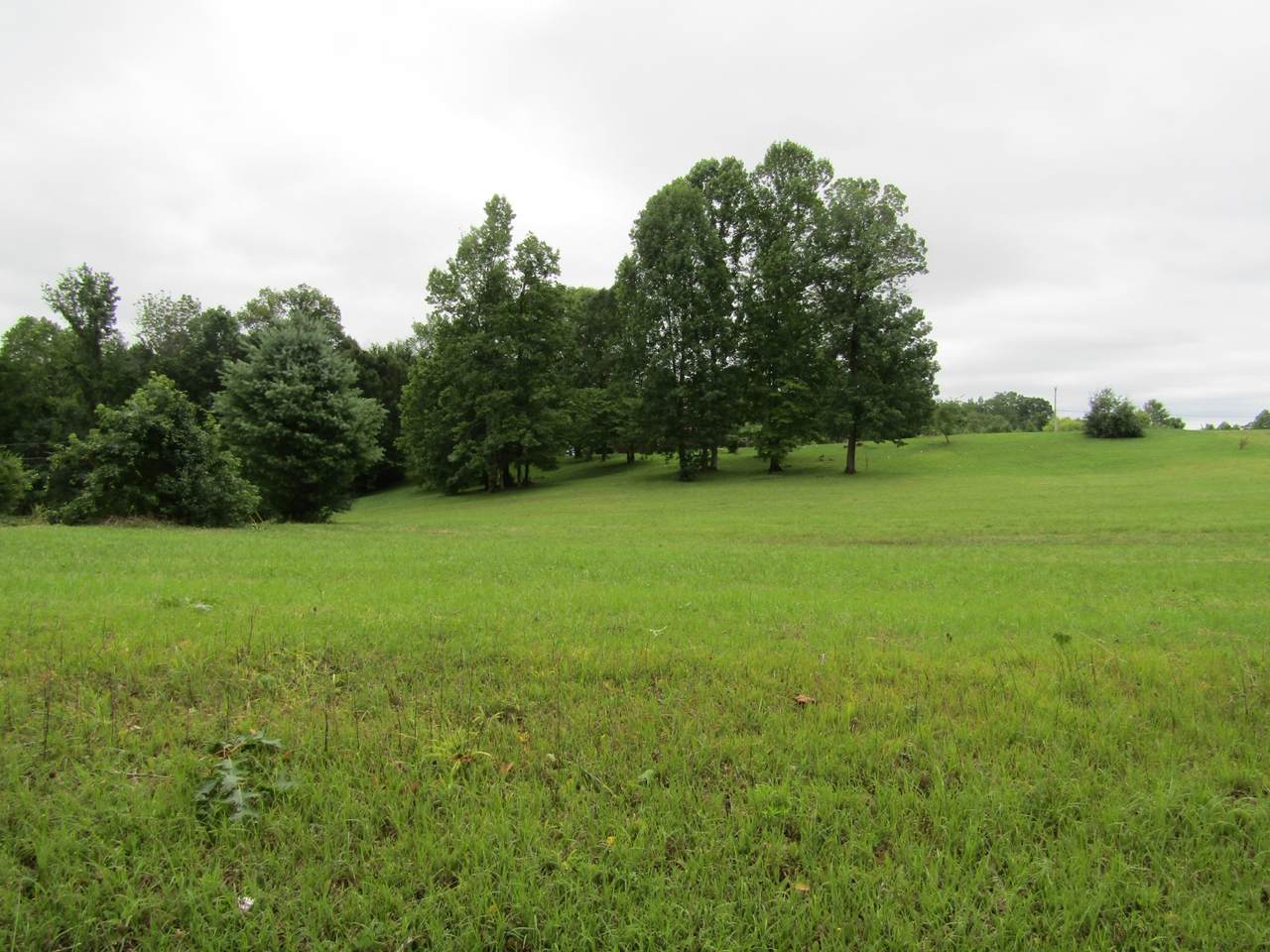 0 Gunnels (Lakeview Est) Rd - Photo 1