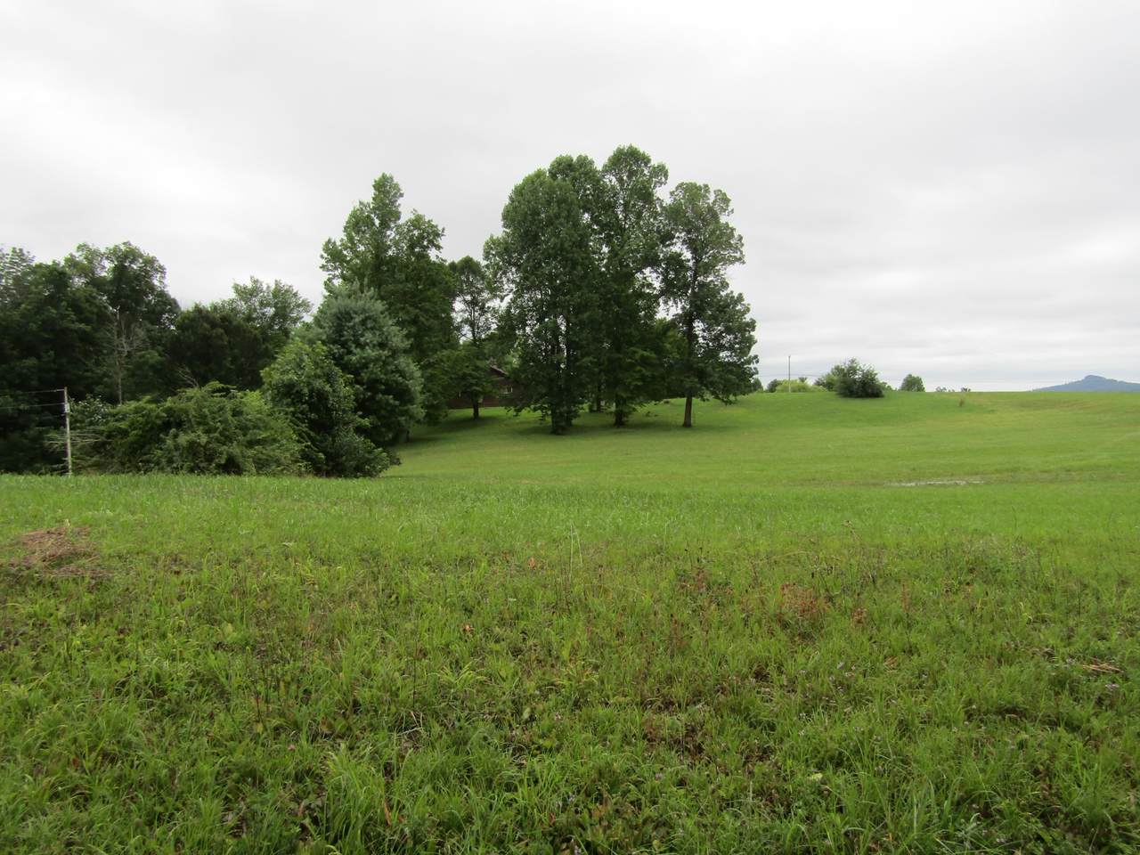 0 Gunnels (Lakeview Est) Rd - Photo 1