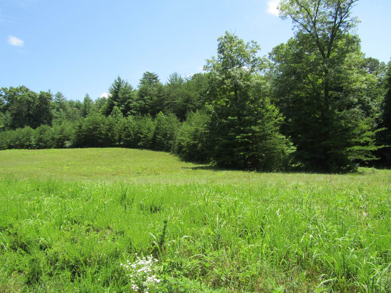 0 Highway 62 - Photo 1