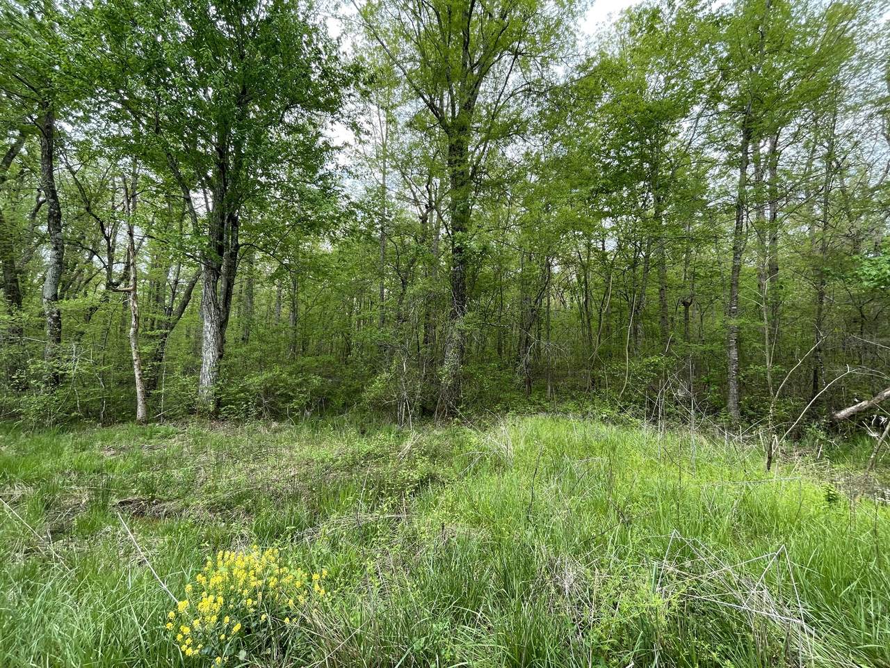 0 Maple St. - Photo 1