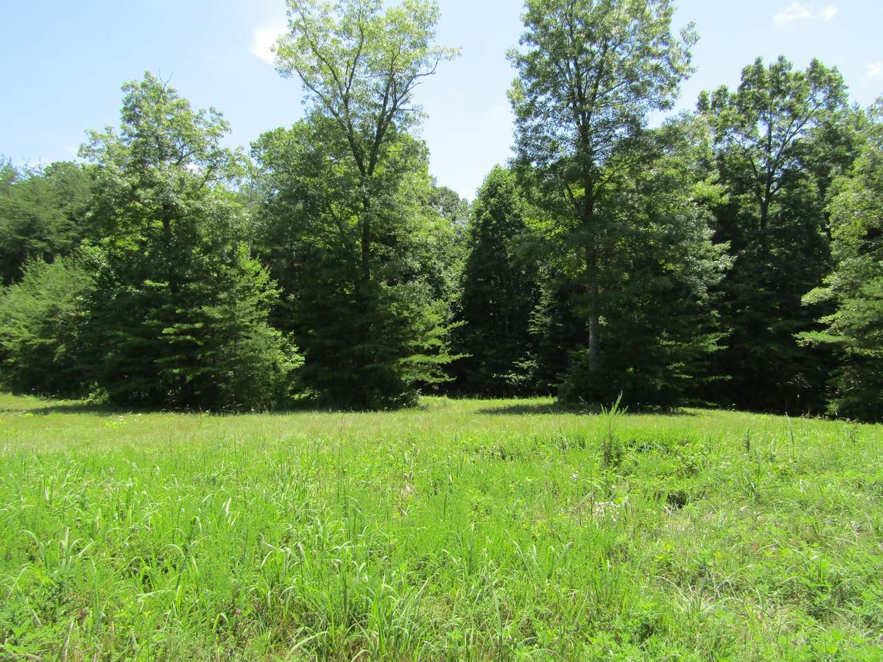 0 Highway 62 - Photo 1