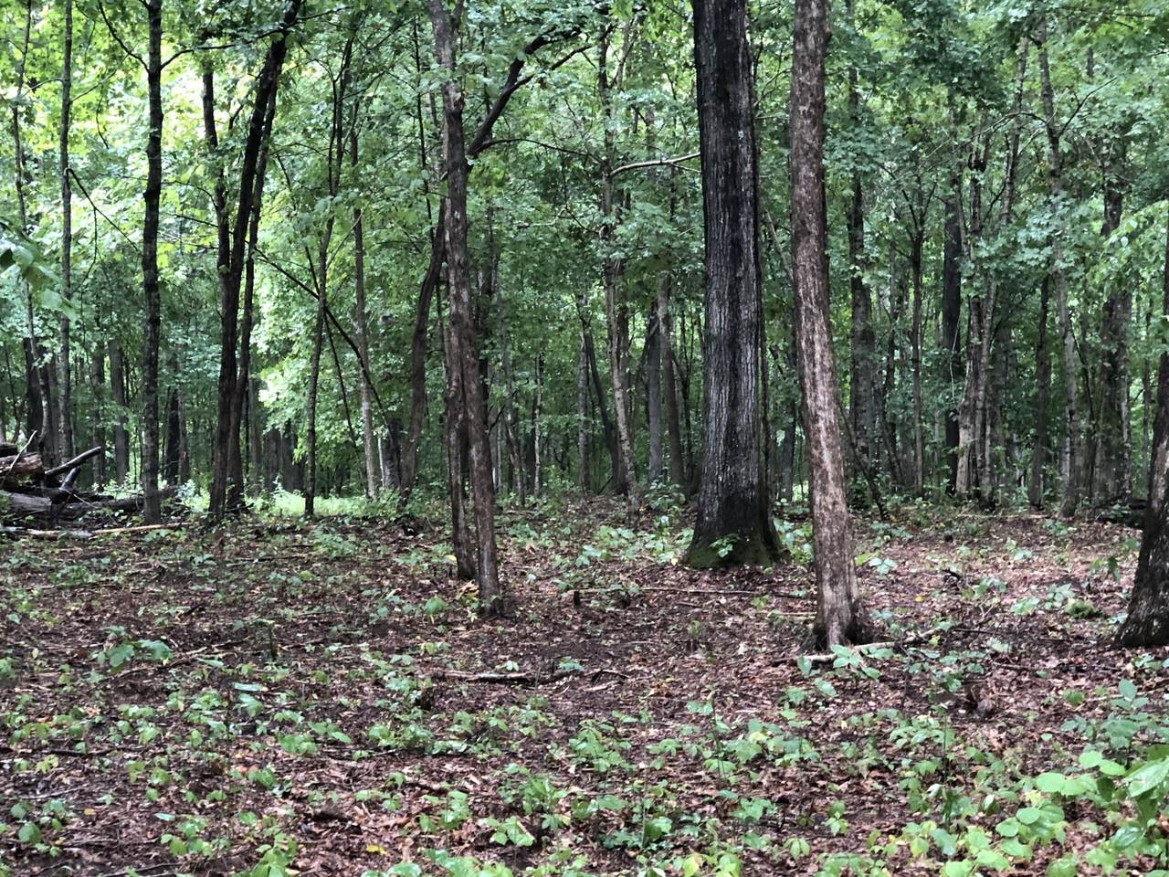 0 Johnny Hall Rd - Photo 1