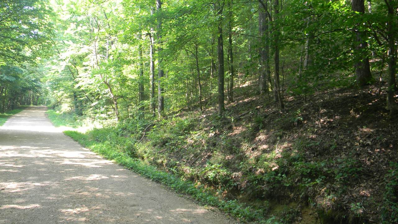 1 Mccollum Hollow Rd - Photo 1