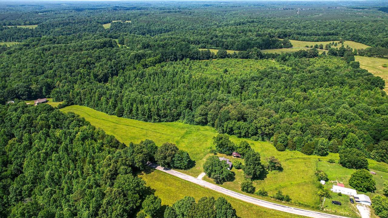 1704 Jackson Hollow Road - Photo 1