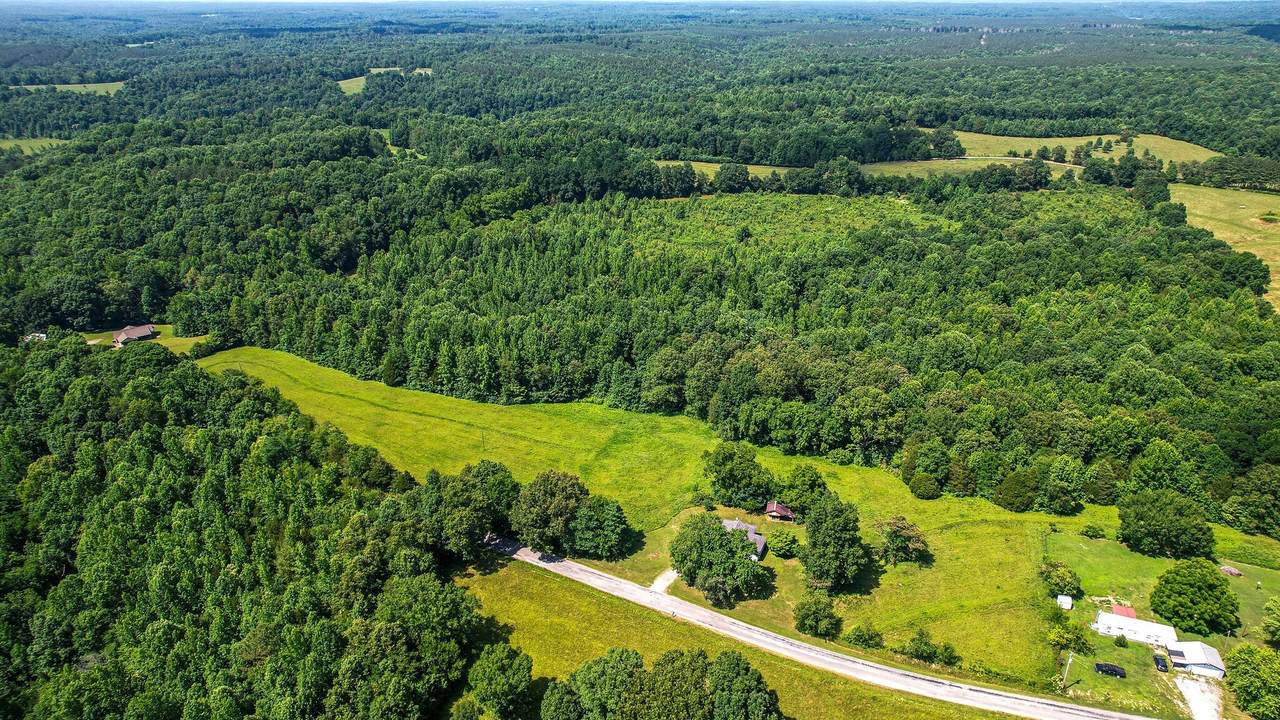 1704 Jackson Hollow Road - Photo 1