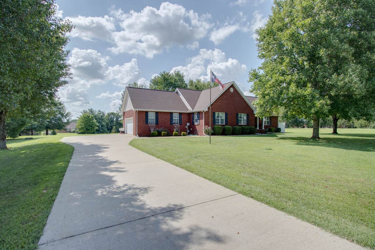 7709 Catherine St - Photo 1