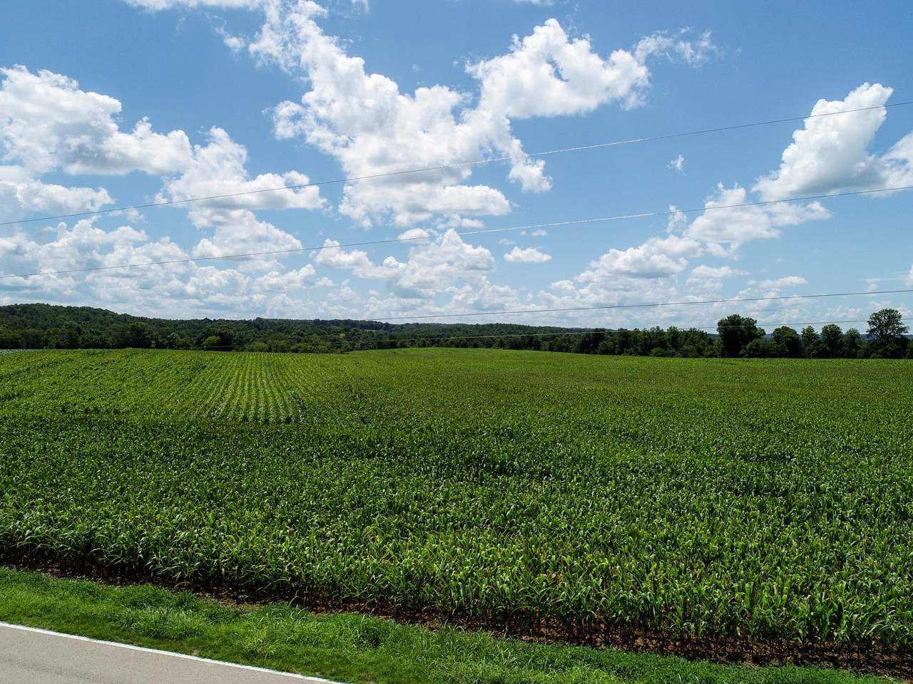 0 Epps Rd - Photo 1