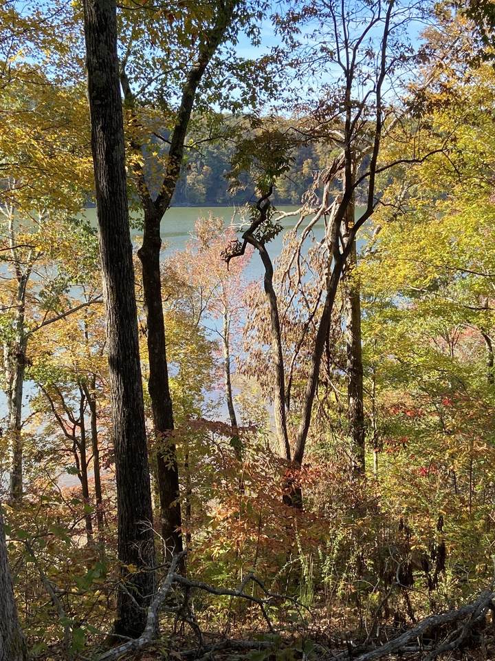 0 Hurricane Creek Road - Photo 1
