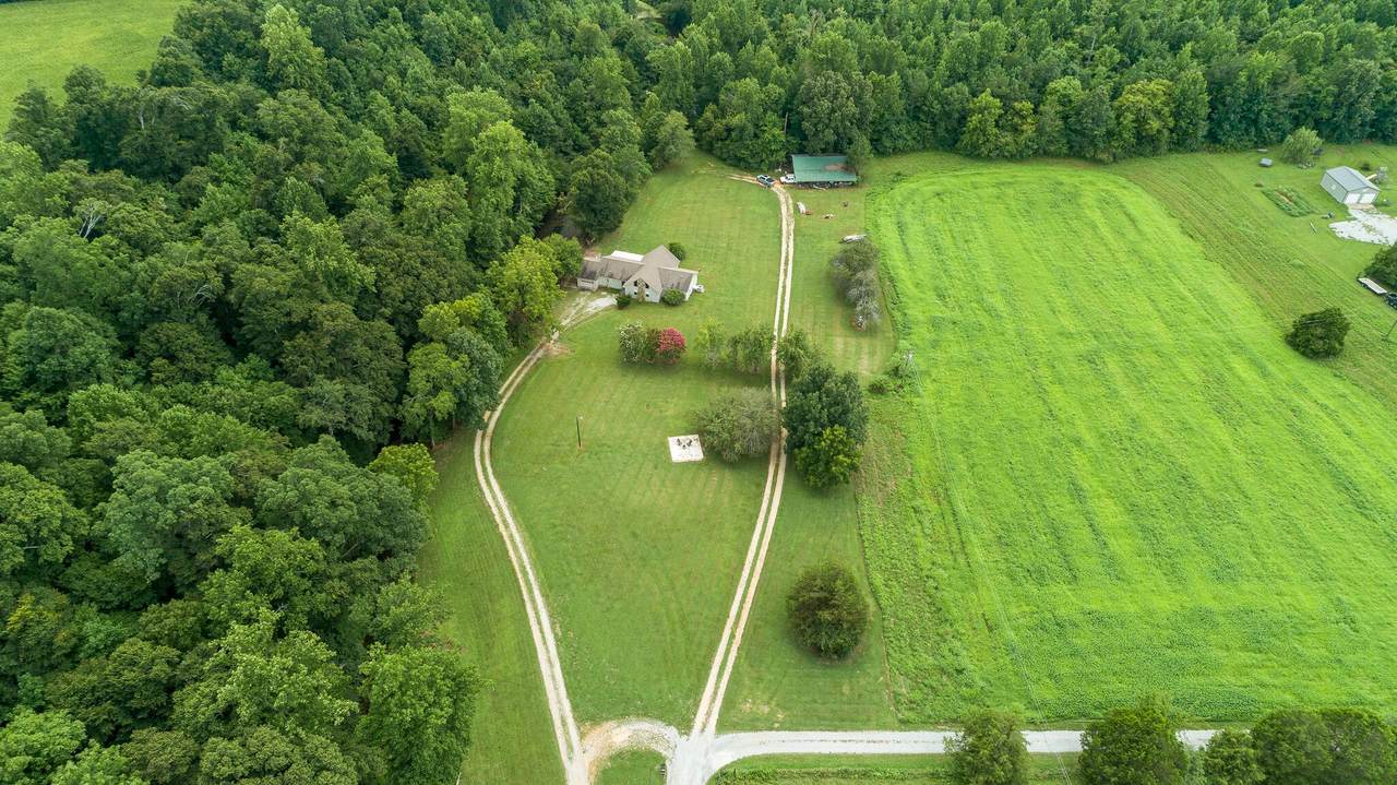 58 Crawfish Rd - Photo 1