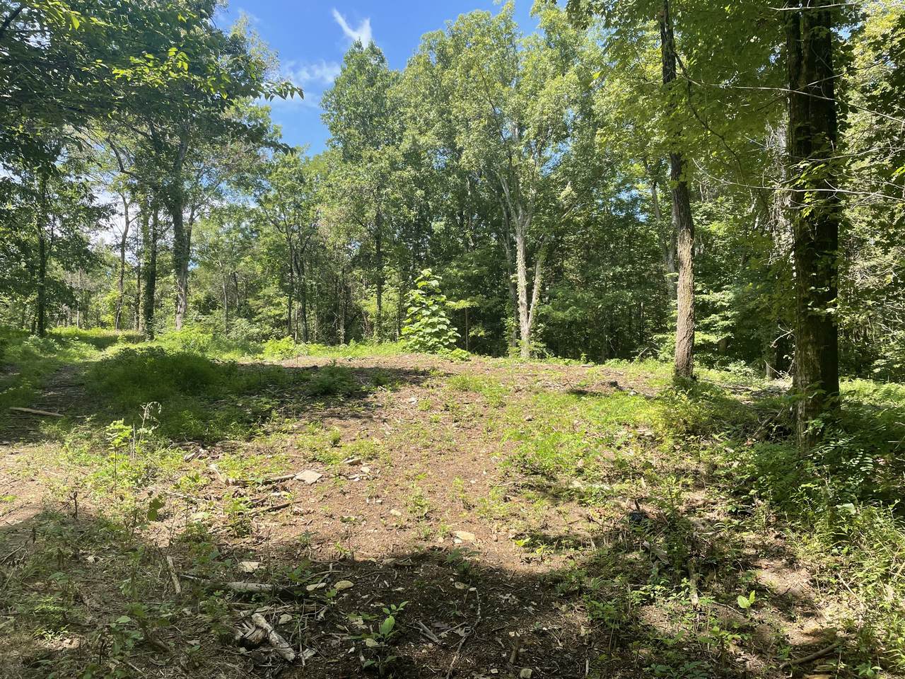 0 Coop Rd - Photo 1