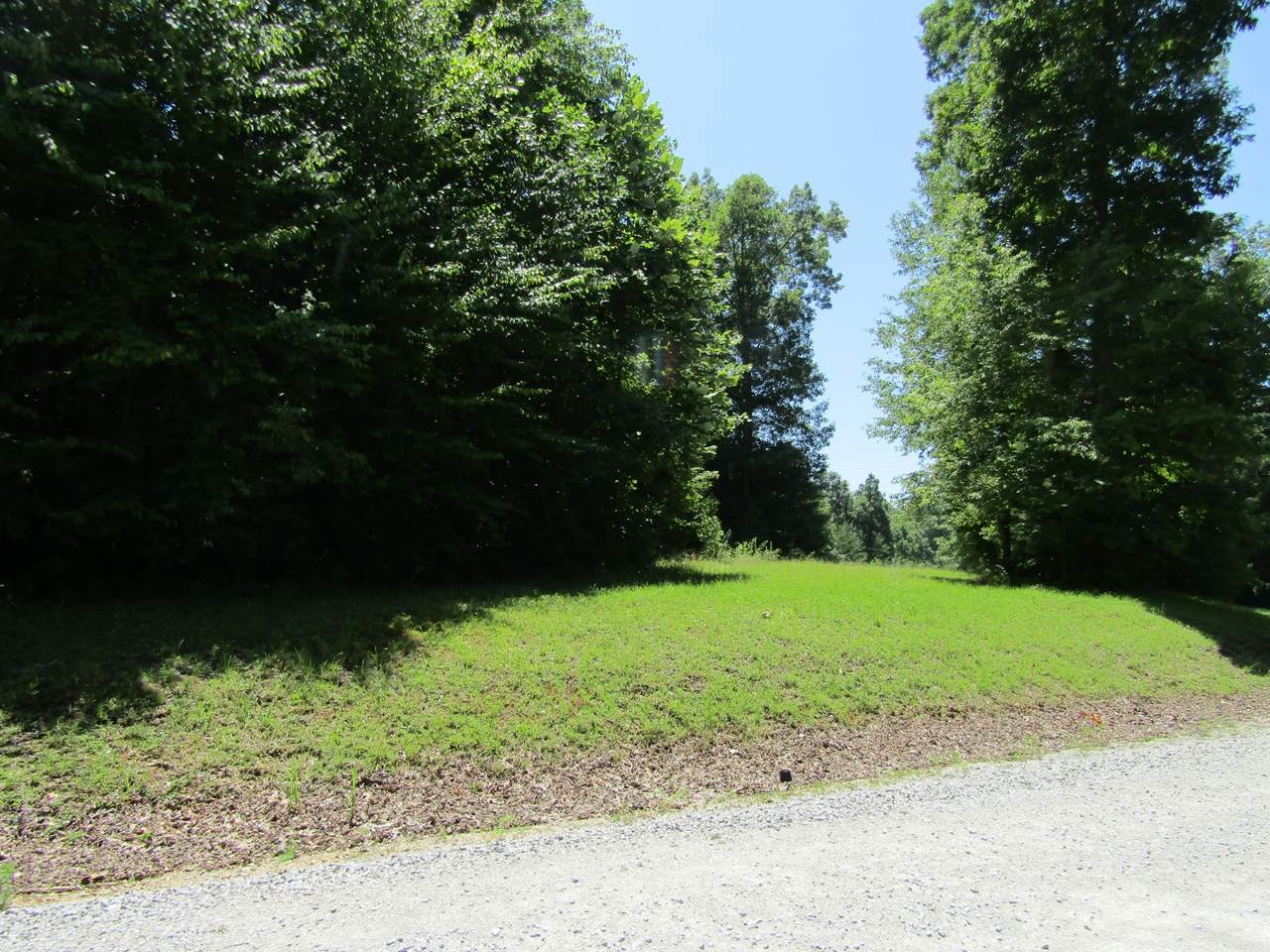 0 White Creek Ct - Photo 1