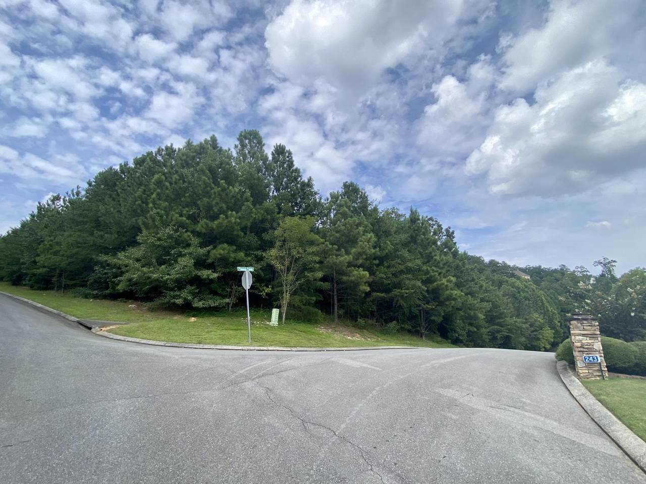 239 Hillside Dr - Photo 1