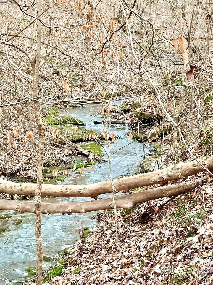 0 Chestnut Grove Cemetery Rd - Photo 1