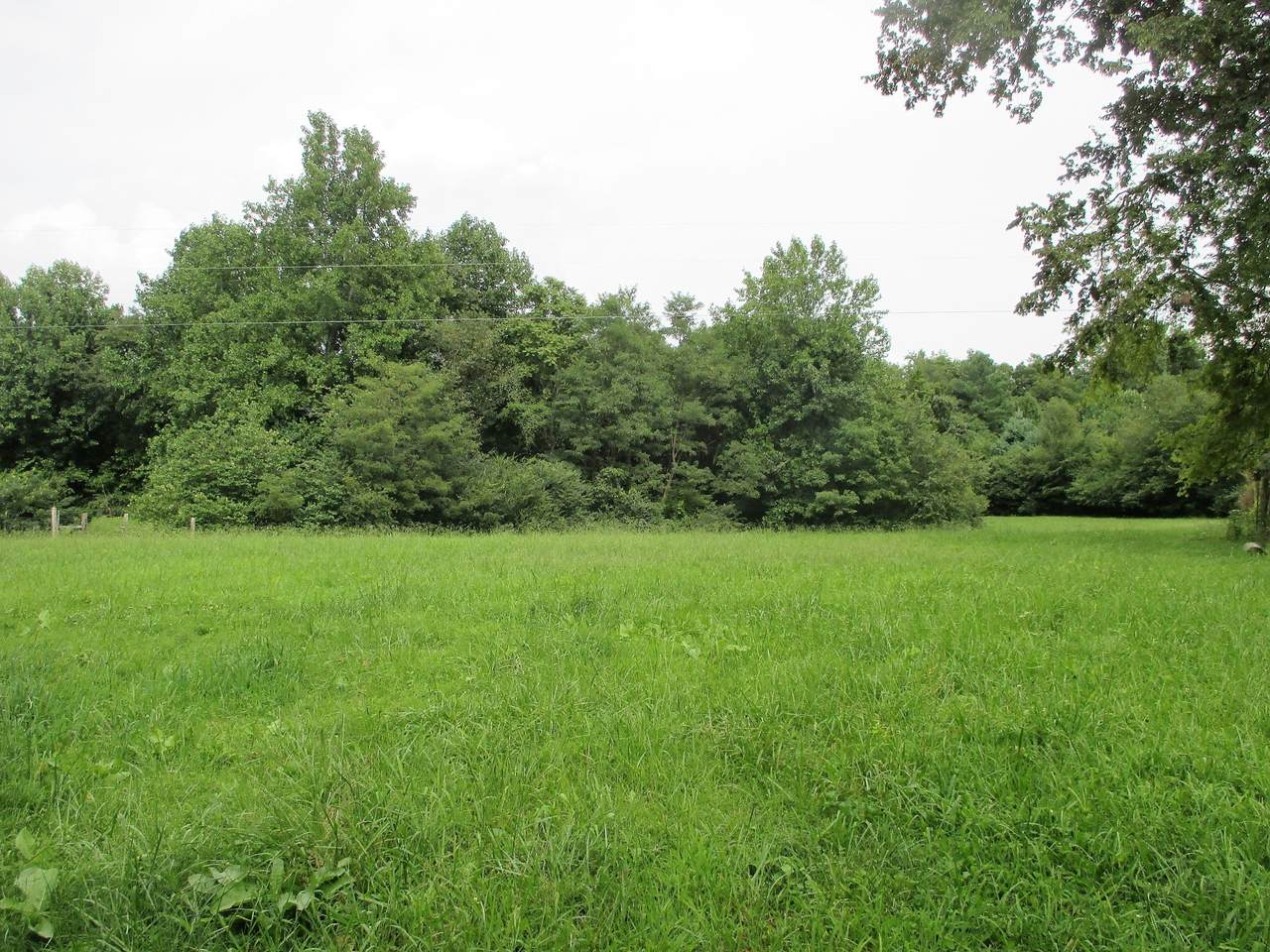 890 Throneberry Rd - Photo 1