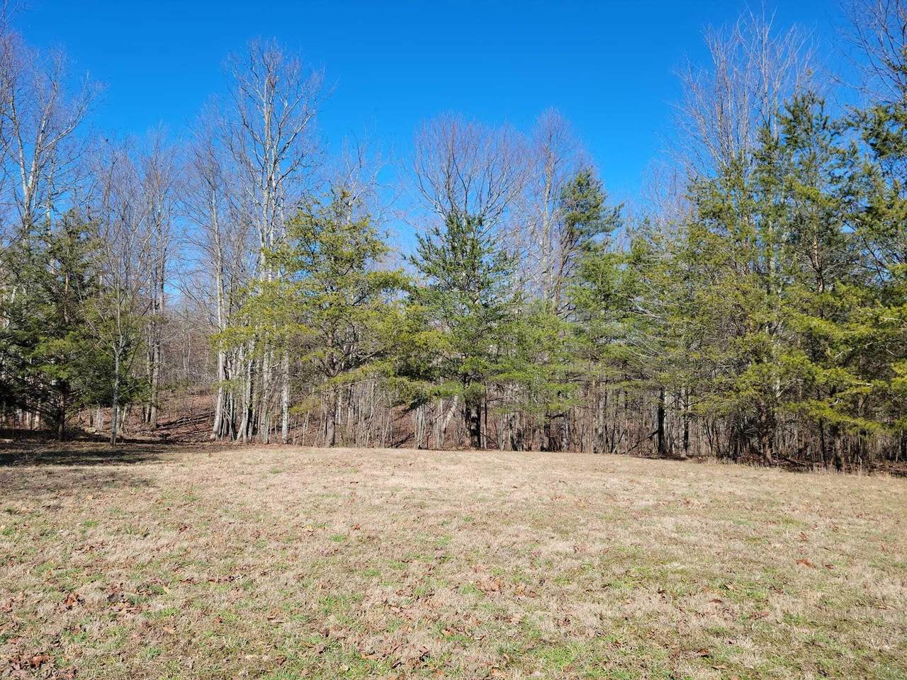 40 Quail Ln - Photo 1
