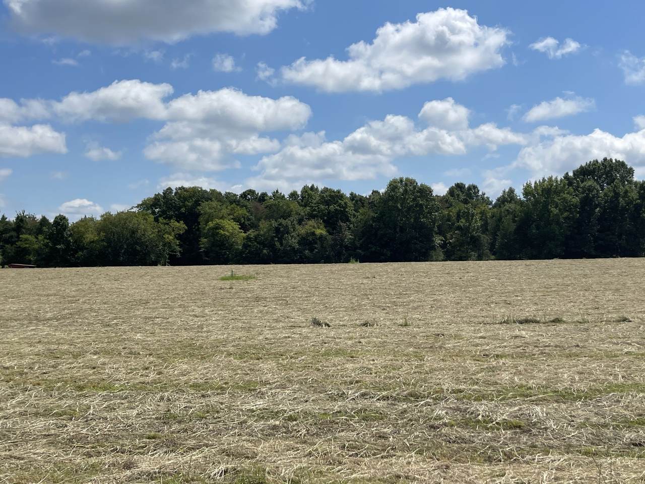 0 Tate Rd - Photo 1