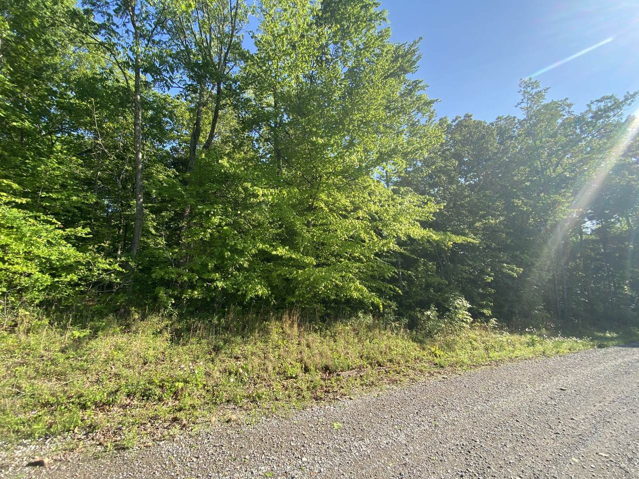 6 Hilltop Road (Tract 6) - Photo 1