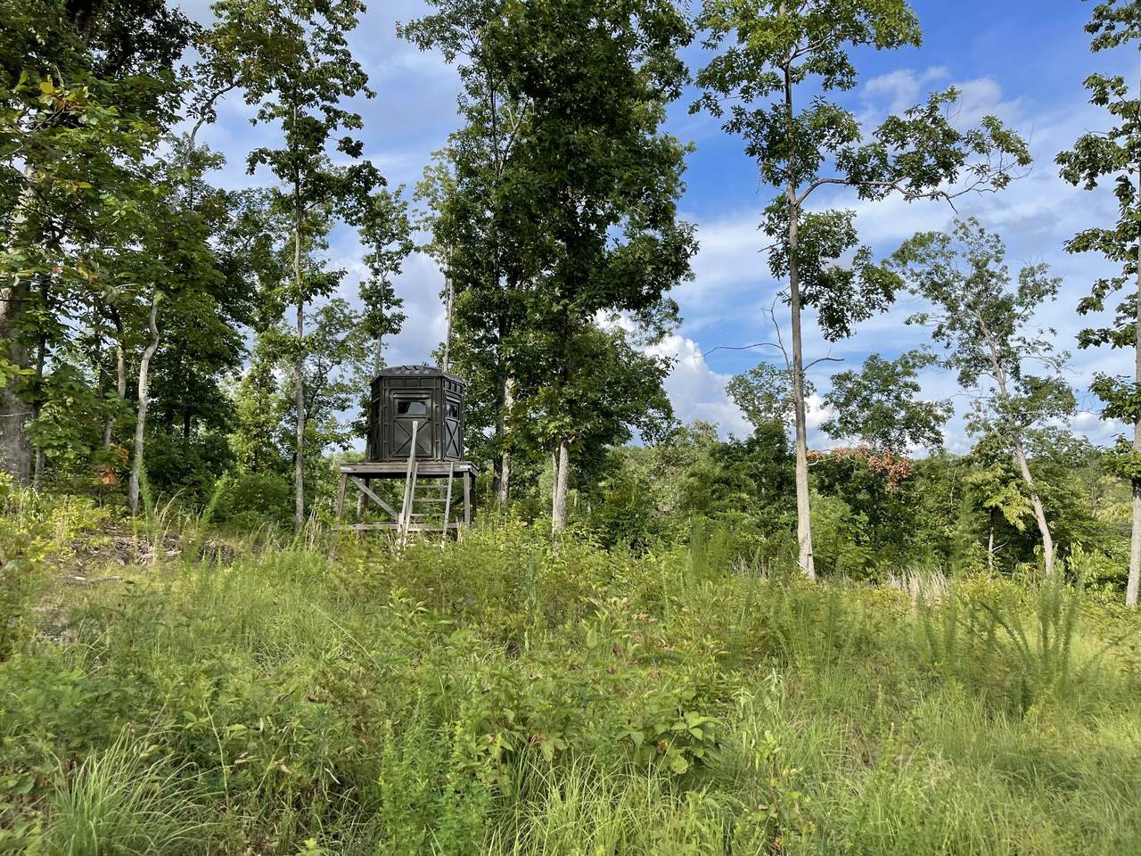 0 Holladay Resort Subdivision - Photo 1
