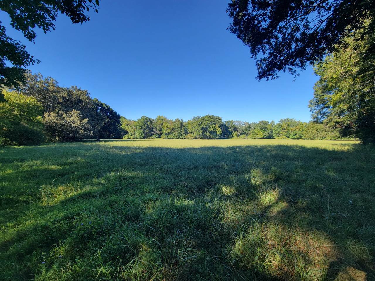 0 S P Anderson Rd - Photo 1