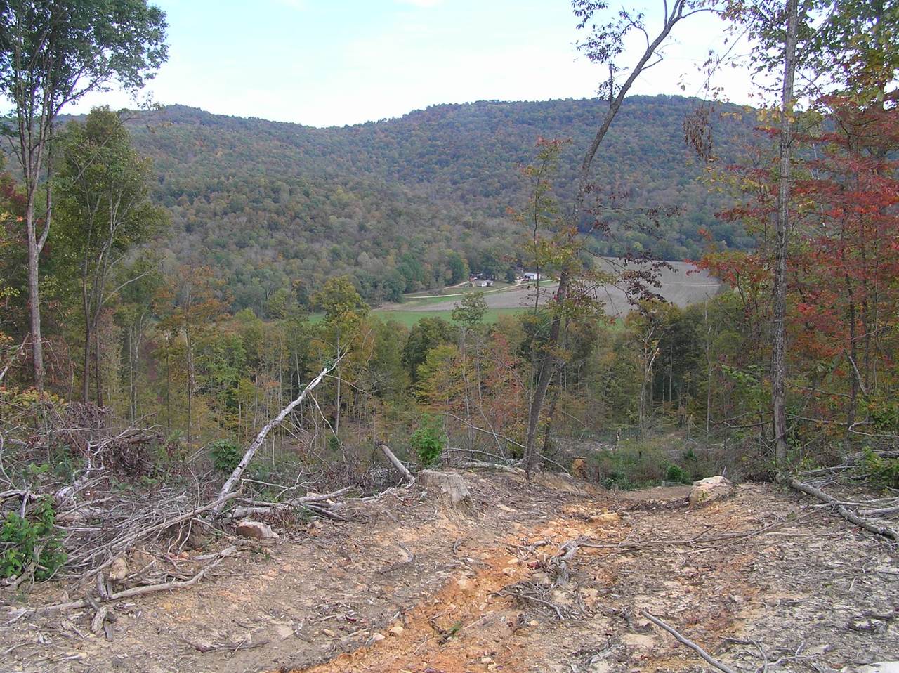 255 Leonard Smart Rd - Photo 1