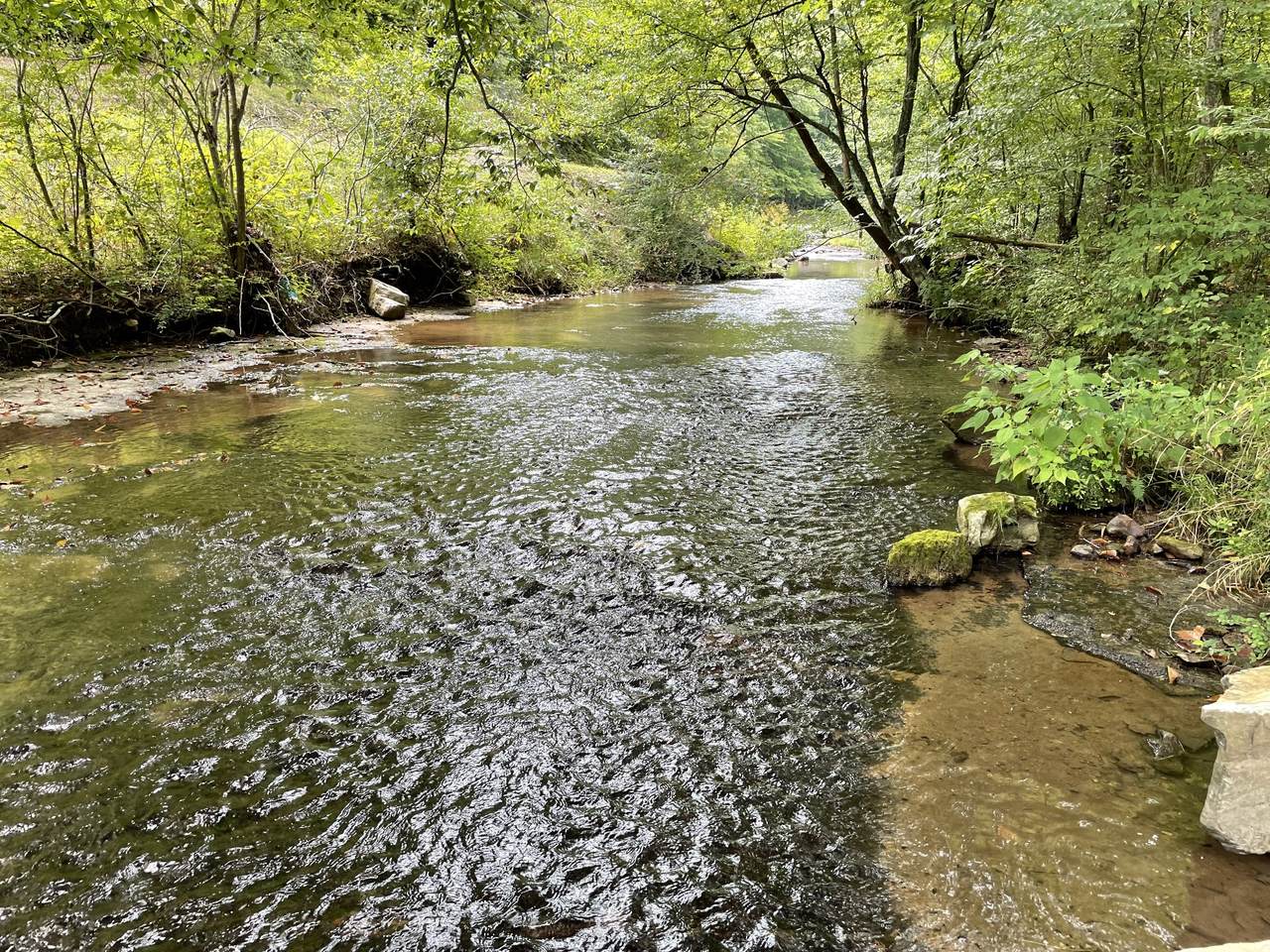 0 King And Caney Fork Rd - Photo 1
