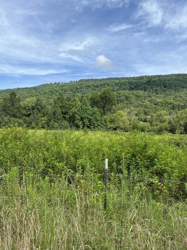 0 County Road 91 - Photo 1