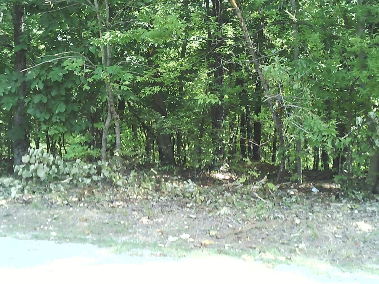 0 Eagles Nest Court - Photo 1